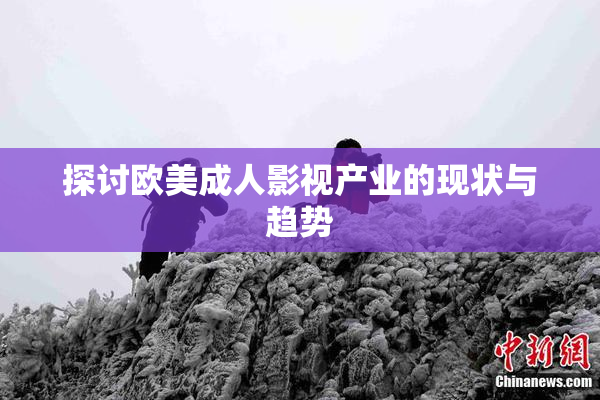 探讨欧美成人影视产业的现状与趋势