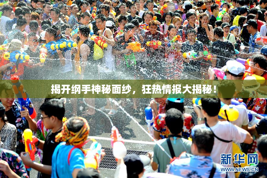 揭开纲手神秘面纱，狂热情报大揭秘！