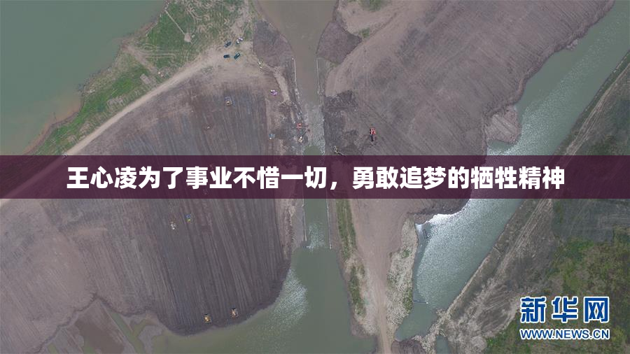 王心凌为了事业不惜一切，勇敢追梦的牺牲精神