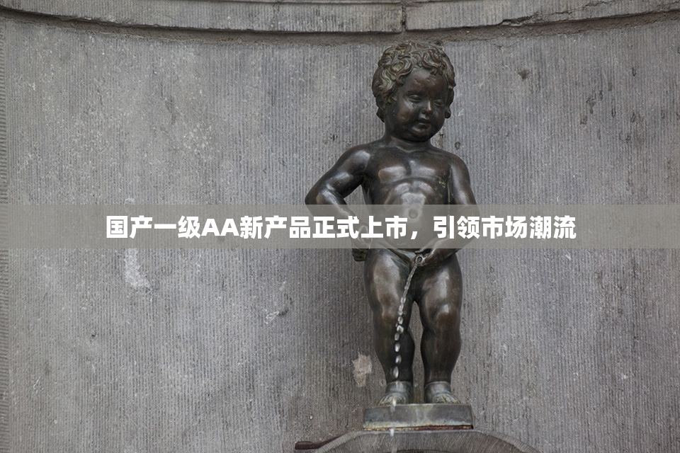 国产一级AA新产品正式上市，引领市场潮流