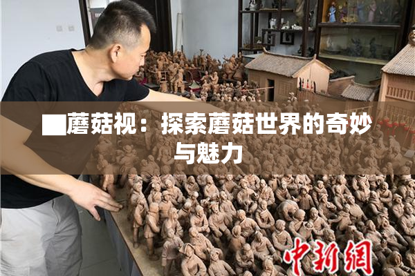 ▇蘑菇视：探索蘑菇世界的奇妙与魅力