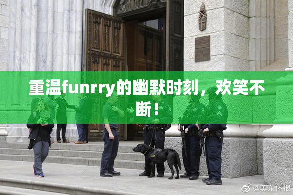 重温funrry的幽默时刻，欢笑不断！