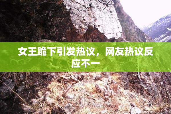 女王跪下引发热议，网友热议反应不一