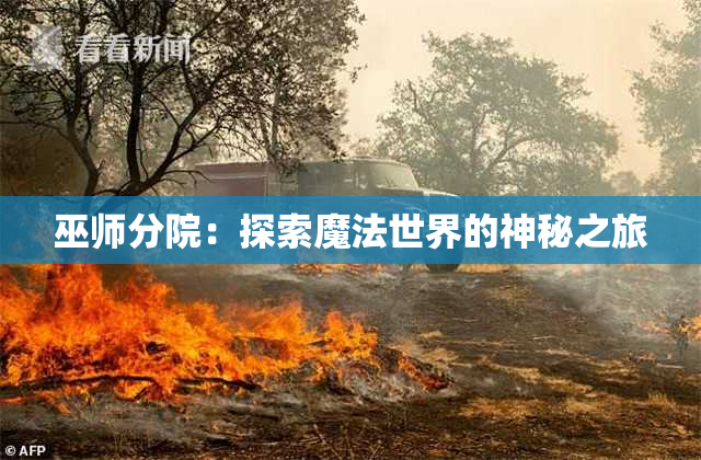 巫师分院：探索魔法世界的神秘之旅