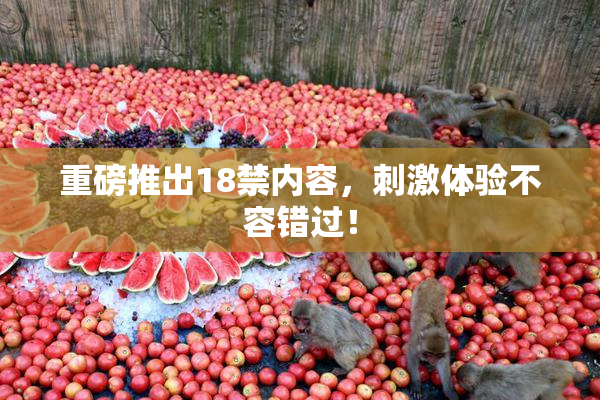 重磅推出18禁内容，刺激体验不容错过！
