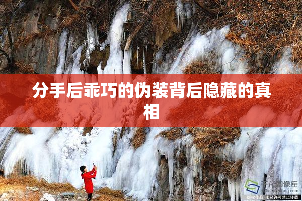 分手后乖巧的伪装背后隐藏的真相
