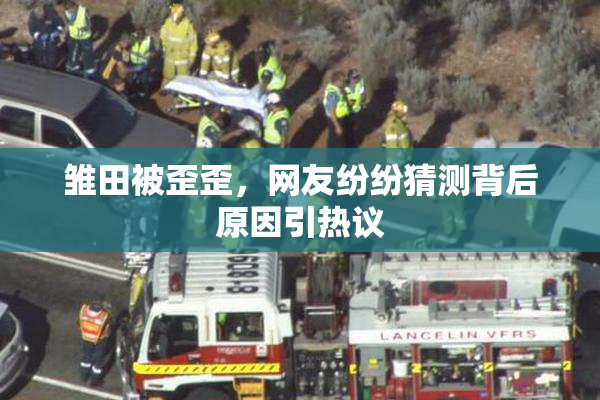 雏田被歪歪，网友纷纷猜测背后原因引热议