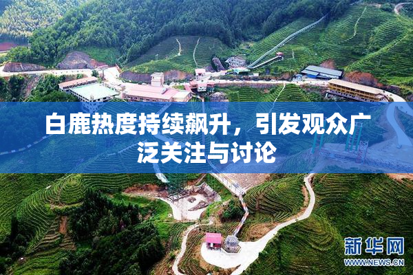 白鹿热度持续飙升，引发观众广泛关注与讨论