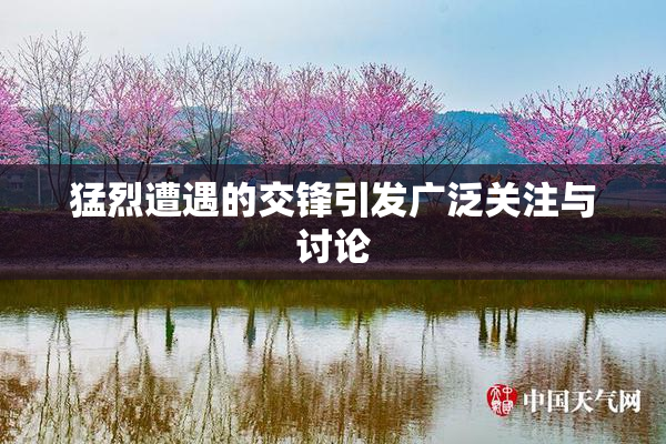 猛烈遭遇的交锋引发广泛关注与讨论