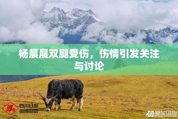 杨晨晨双腿受伤，伤情引发关注与讨论