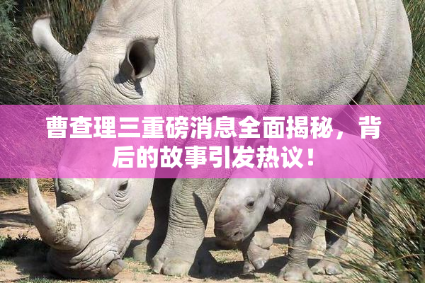 曹查理三重磅消息全面揭秘，背后的故事引发热议！