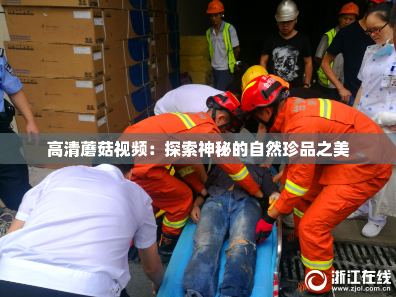 高清蘑菇视频：探索神秘的自然珍品之美