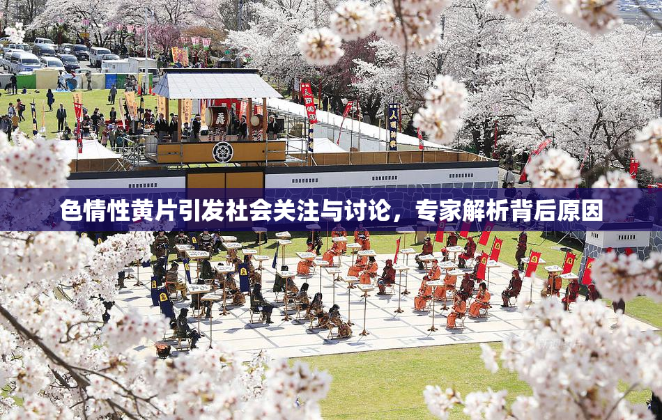 色情性黄片引发社会关注与讨论，专家解析背后原因