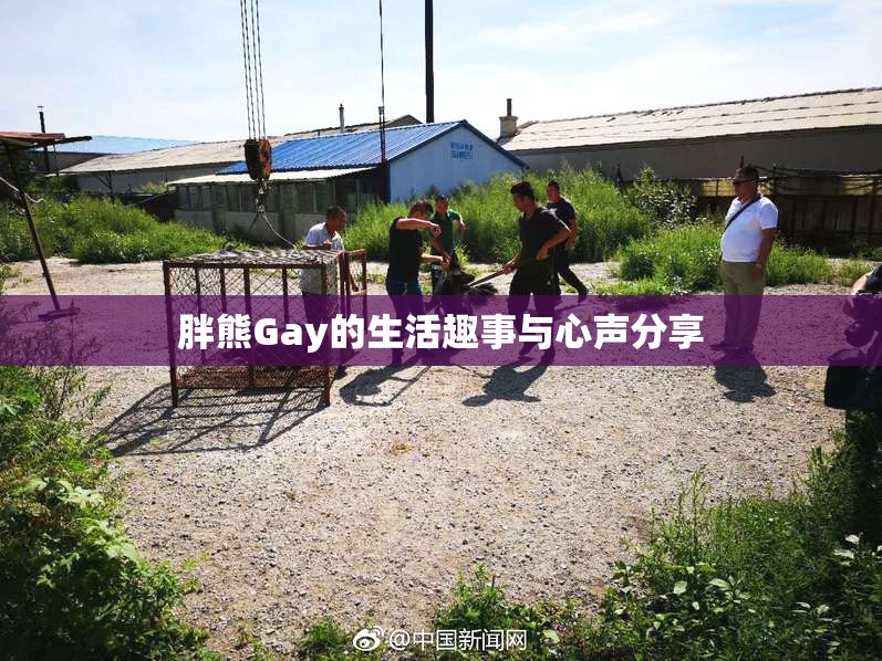 胖熊Gay的生活趣事与心声分享