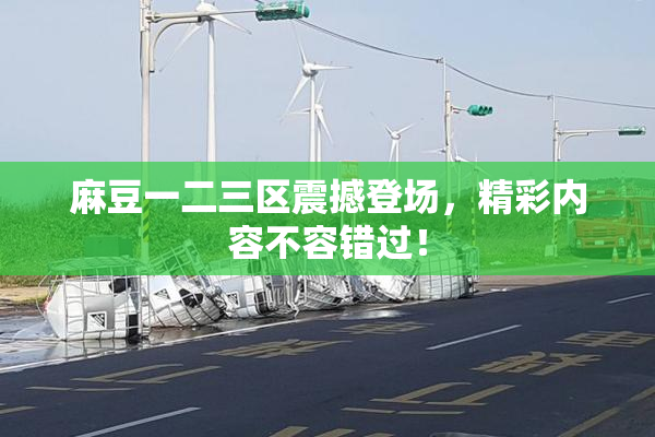 麻豆一二三区震撼登场，精彩内容不容错过！