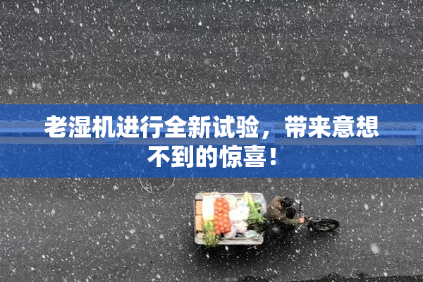老湿机进行全新试验，带来意想不到的惊喜！