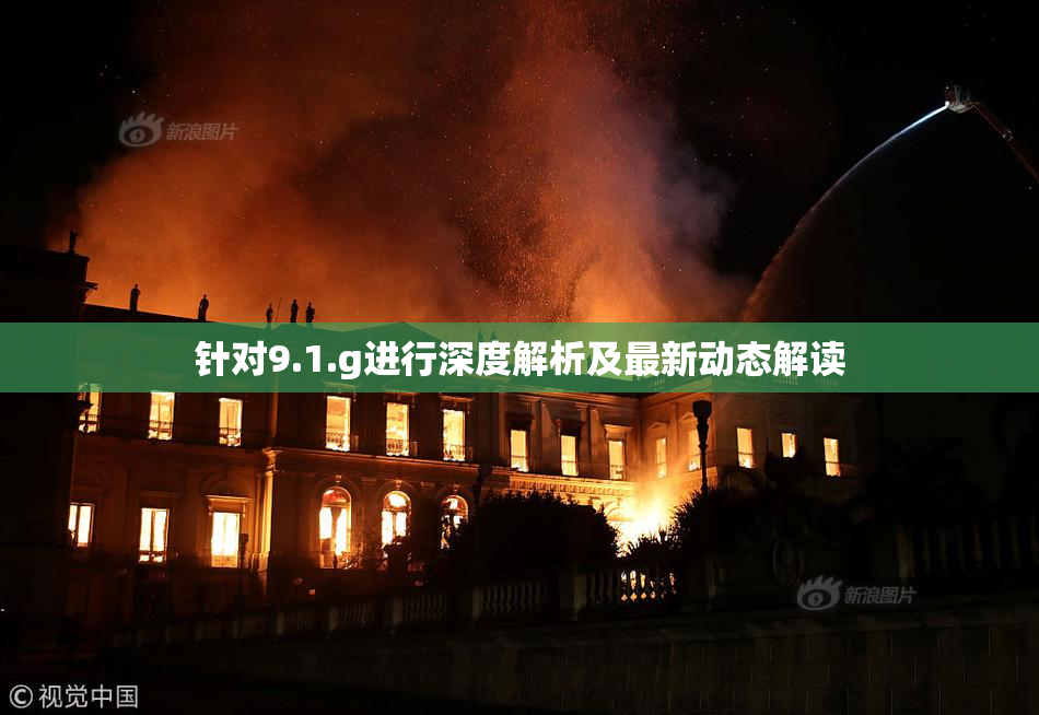 针对9.1.g进行深度解析及最新动态解读