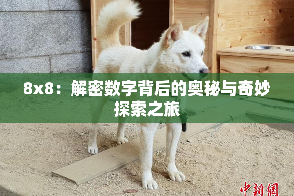 8x8：解密数字背后的奥秘与奇妙探索之旅
