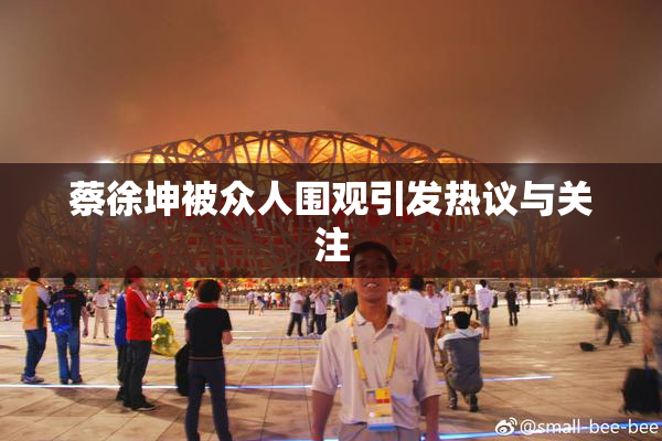 蔡徐坤被众人围观引发热议与关注