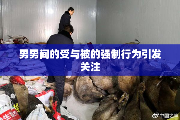 男男间的受与被的强制行为引发关注