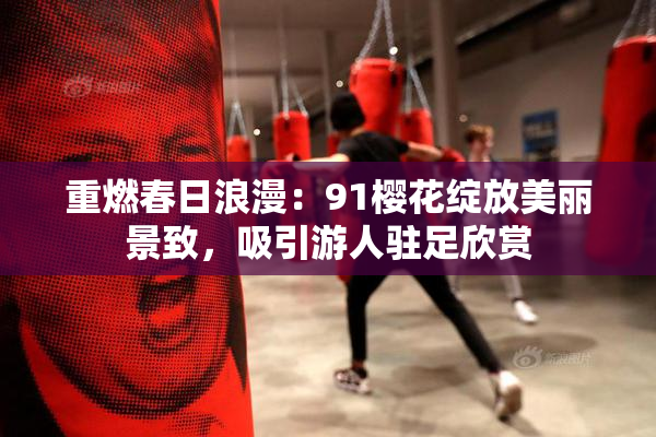 重燃春日浪漫：91樱花绽放美丽景致，吸引游人驻足欣赏