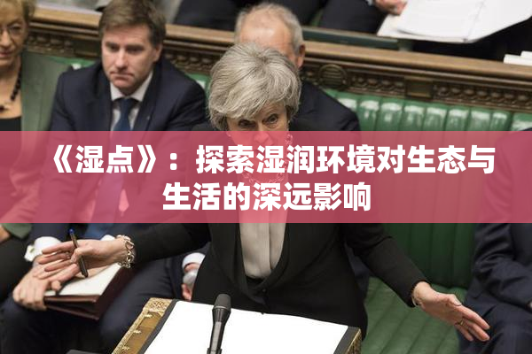 《湿点》：探索湿润环境对生态与生活的深远影响