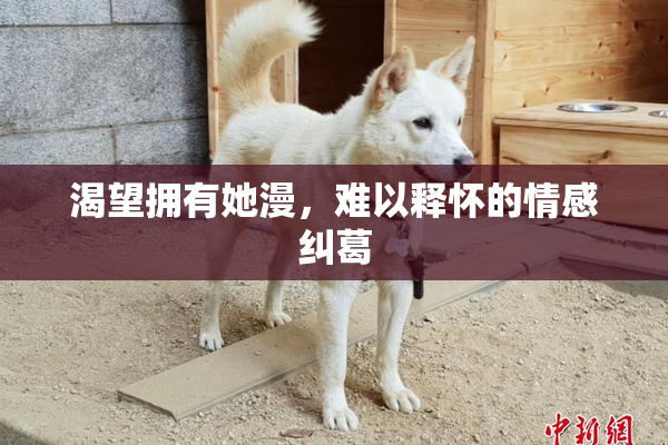 渴望拥有她漫，难以释怀的情感纠葛