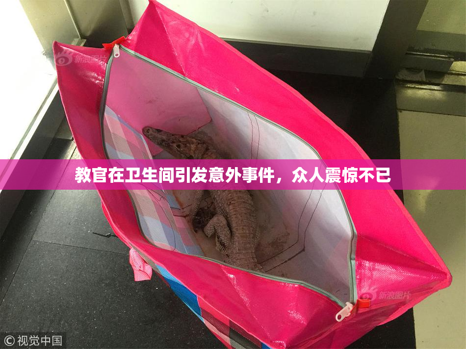 教官在卫生间引发意外事件，众人震惊不已