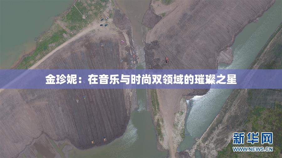 金珍妮：在音乐与时尚双领域的璀璨之星