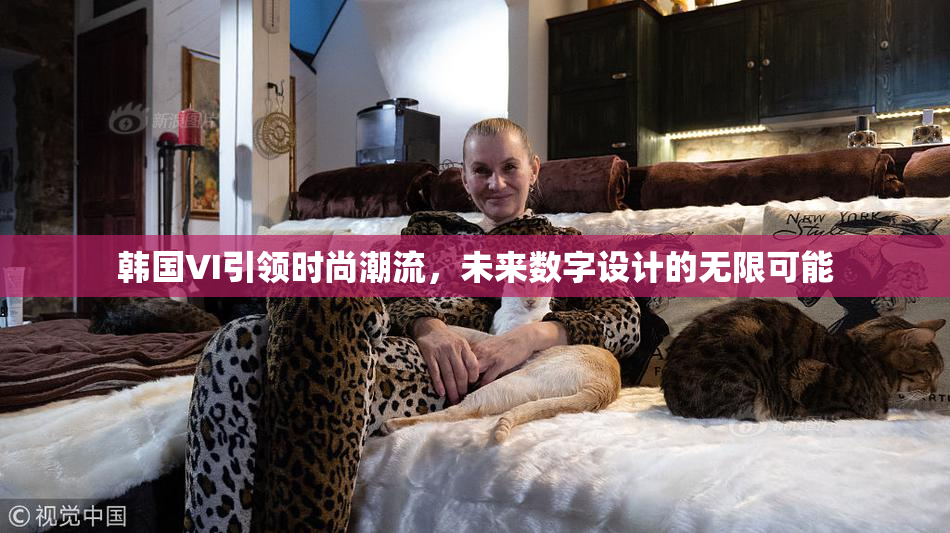 韩国VI引领时尚潮流，未来数字设计的无限可能