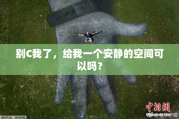 别C我了，给我一个安静的空间可以吗？