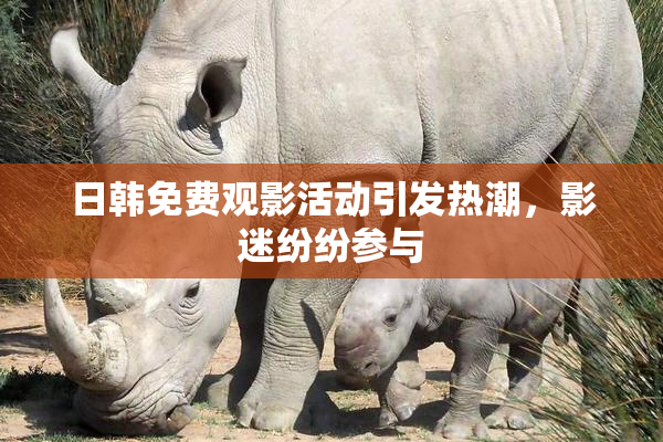 日韩免费观影活动引发热潮，影迷纷纷参与