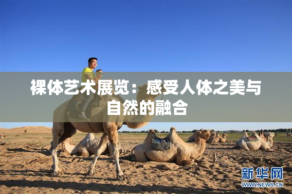 裸体艺术展览：感受人体之美与自然的融合