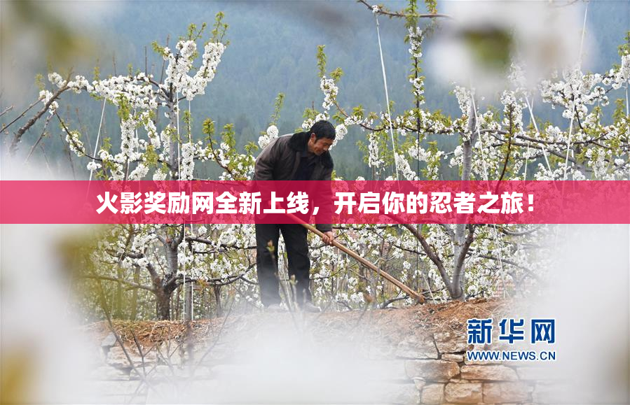 火影奖励网全新上线，开启你的忍者之旅！