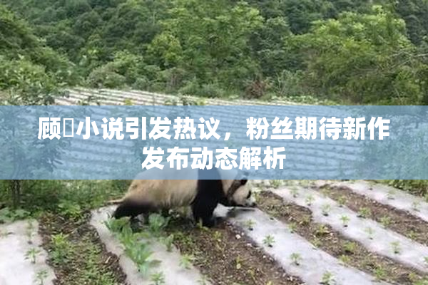 顾嫚小说引发热议，粉丝期待新作发布动态解析