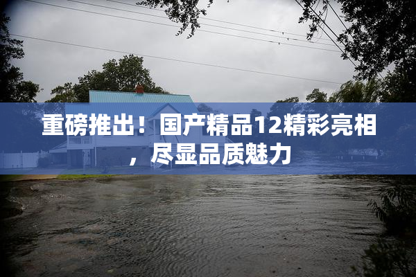 重磅推出！国产精品12精彩亮相，尽显品质魅力
