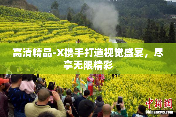 高清精品-X携手打造视觉盛宴，尽享无限精彩