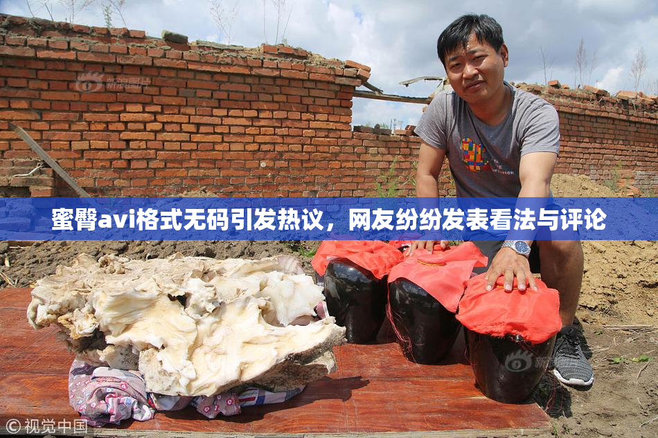 蜜臀avi格式无码引发热议，网友纷纷发表看法与评论