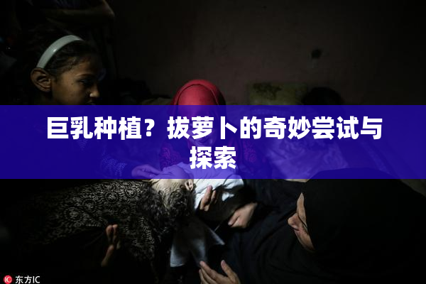 巨乳种植？拔萝卜的奇妙尝试与探索
