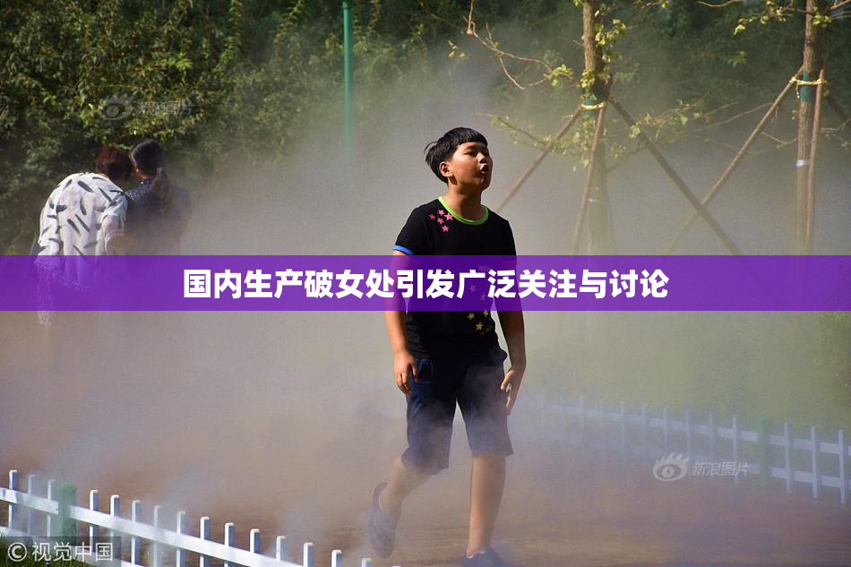 国内生产破女处引发广泛关注与讨论