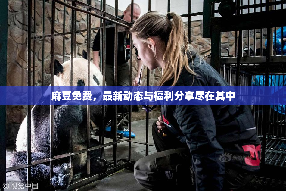 麻豆免费，最新动态与福利分享尽在其中