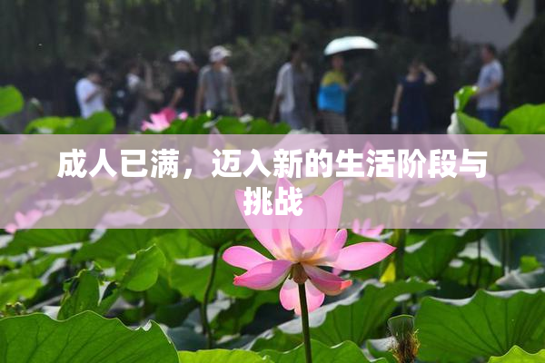 成人已满，迈入新的生活阶段与挑战