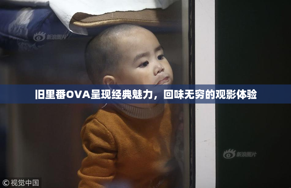 旧里番OVA呈现经典魅力，回味无穷的观影体验