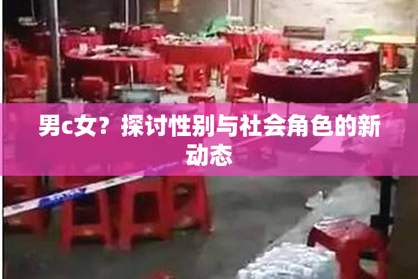男c女？探讨性别与社会角色的新动态