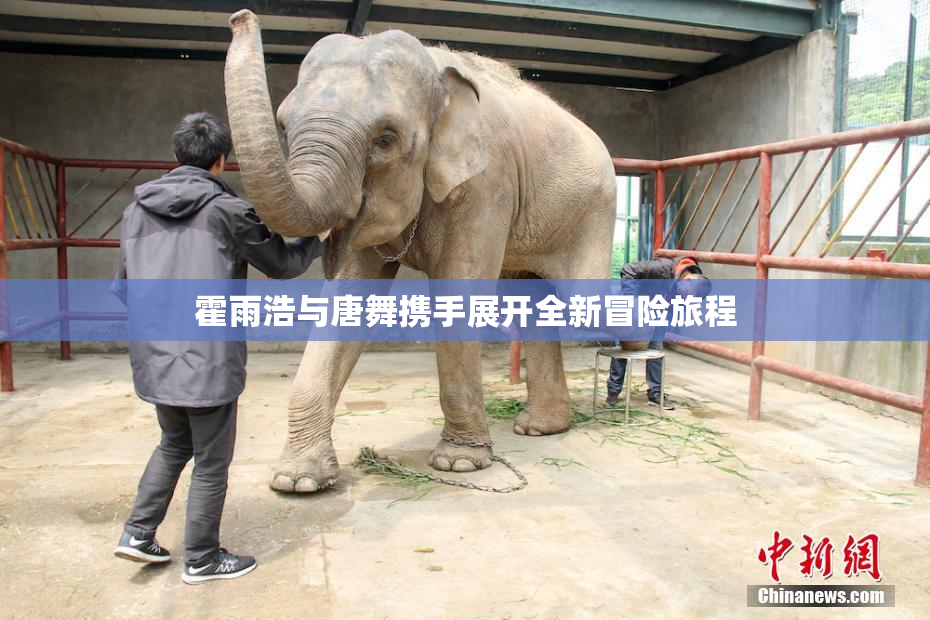 霍雨浩与唐舞携手展开全新冒险旅程