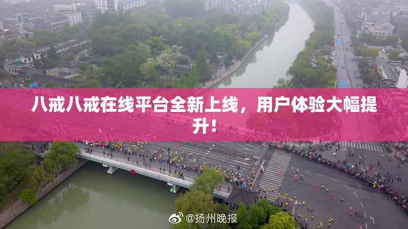 八戒八戒在线平台全新上线，用户体验大幅提升！