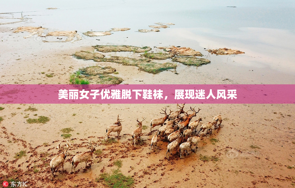美丽女子优雅脱下鞋袜，展现迷人风采