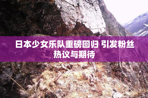 日本少女乐队重磅回归 引发粉丝热议与期待