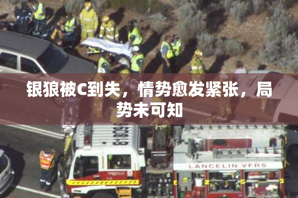银狼被C到失，情势愈发紧张，局势未可知