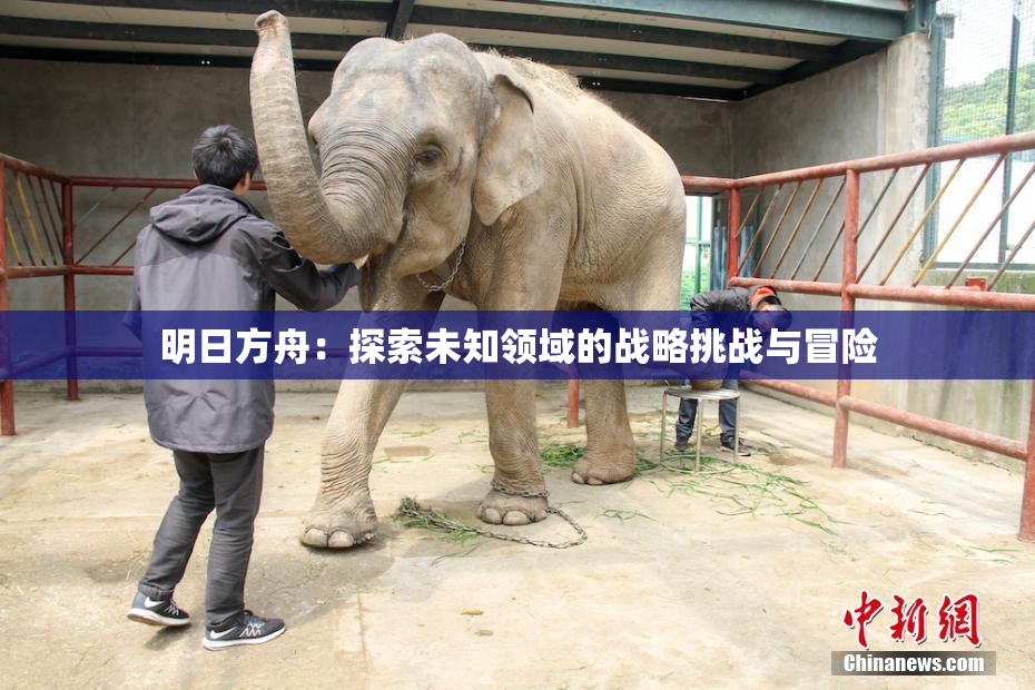 明日方舟：探索未知领域的战略挑战与冒险